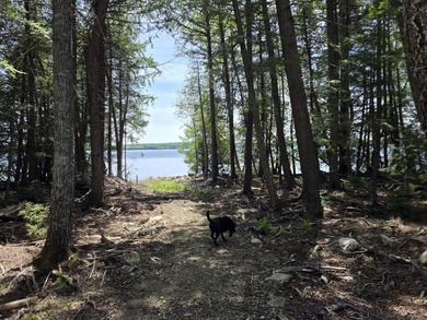 Beautiful south-facing lakefront parcel on 3,300-acre - photo 12