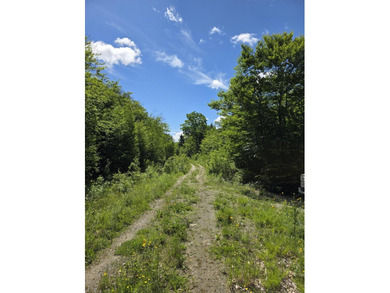 Beautiful south-facing lakefront parcel on 3,300-acre - photo 21