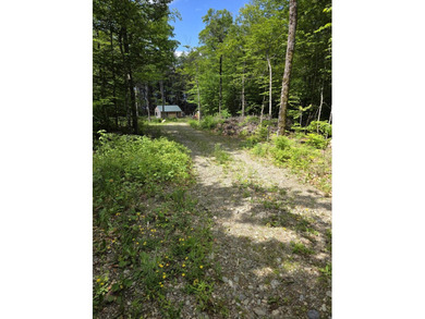 Beautiful south-facing lakefront parcel on 3,300-acre - photo 22