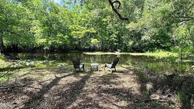 Withlacoochee River Home For Sale in Nobleton Florida