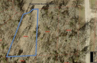 Treed lot located in the Christopher Ridge subdivision near - photo 2