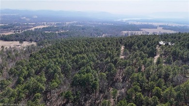 Located just north of Sardis Lake near Tuskahoma, this 3-acre - photo 12