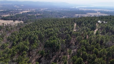 Located just north of Sardis Lake near Tuskahoma, this 3-acre - photo 13