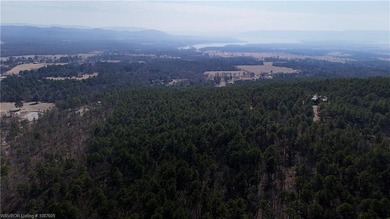 Located just north of Sardis Lake near Tuskahoma, this 3-acre - photo 15