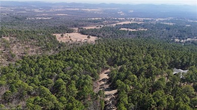 Located just north of Sardis Lake near Tuskahoma, this 3-acre - photo 16