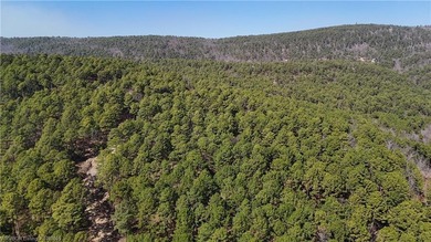 Located just north of Sardis Lake near Tuskahoma, this 3-acre - photo 17