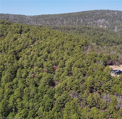 Located just north of Sardis Lake near Tuskahoma, this 3-acre - photo 20