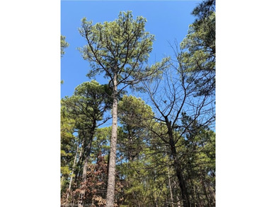 Located just north of Sardis Lake near Tuskahoma, this 3-acre - photo 21