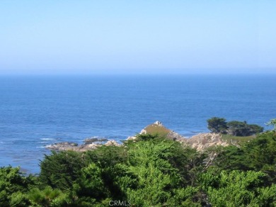 (private lake, pond, creek) Lot For Sale in Carmel Highlands California