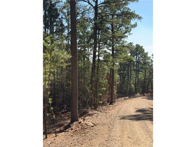Located just north of Sardis Lake near Tuskahoma, this 3-acre - photo 22