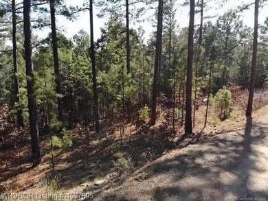Located just north of Sardis Lake near Tuskahoma, this 3-acre - photo 23