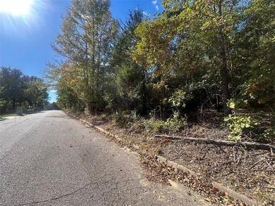 Lake Athens is the perfect place to call home or build your - photo 5