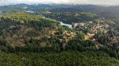 LARGE _ROAD ACCESS_ ACREAGE AVAILABLE FOR SALE IN LAKESIDE - photo 5