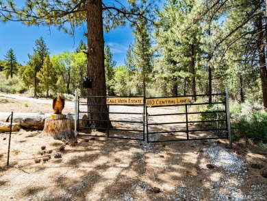 Erwin Lake Acreage For Sale in Big Bear City California