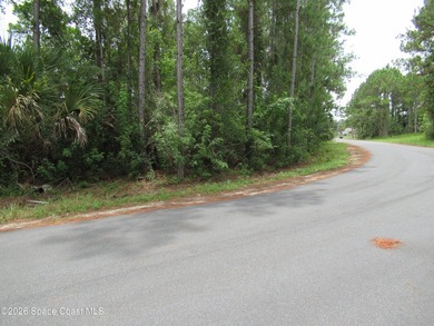 Nice lot in area with a lot of new homes being - photo 1