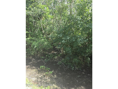1.22-acre wooded lot located on a quiet dirt road, offering a - photo 2