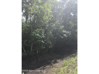 1.22-acre wooded lot located on a quiet dirt road, offering a - photo 3