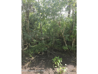 1.22-acre wooded lot located on a quiet dirt road, offering a - photo 4