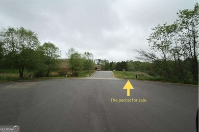 Zoned M-1, this 4.67-acre rectangular lot is ideally situated at - photo 9