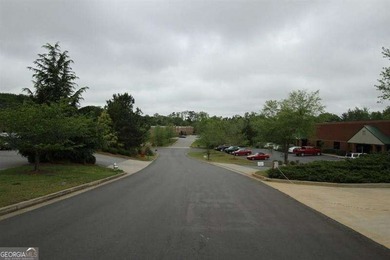 Zoned M-1, this 4.67-acre rectangular lot is ideally situated at - photo 10