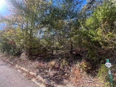 Lake Athens is the perfect place to call home or build your - photo 5