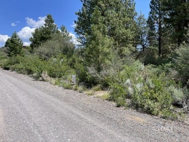Lovely parcel in a very desirable area of Oregon Shores. This - photo 11