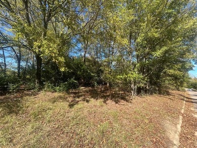 Lake Athens is the perfect place to call home or build your - photo 1