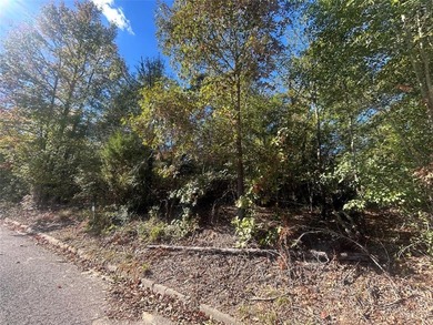 Lake Athens is the perfect place to call home or build your - photo 3