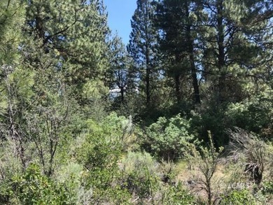 Lovely parcel in a very desirable area of Oregon Shores. This - photo 14