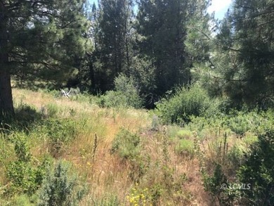 Lovely parcel in a very desirable area of Oregon Shores. This - photo 17