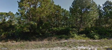 Lehigh Acres Area Lot For Sale in Lehigh Acres Florida