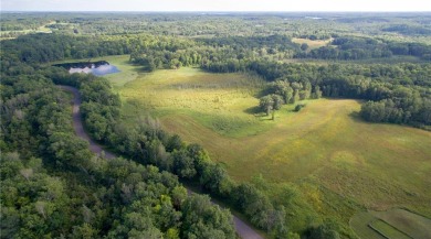 (private lake, pond, creek) Acreage For Sale in Farm Island Twp Minnesota