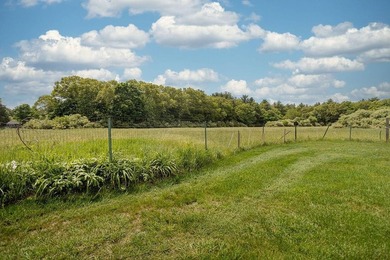 Surrounded by rolling lawns, open fields dotted with buttercups - photo 37