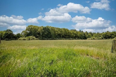 Surrounded by rolling lawns, open fields dotted with buttercups - photo 38