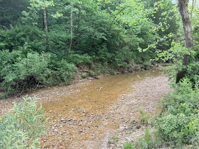 One mile from a boat ramp on Lake of the Ozarks!! This 25 acres - photo 3
