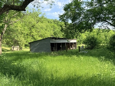 One mile from a boat ramp on Lake of the Ozarks!! This 25 acres - photo 4