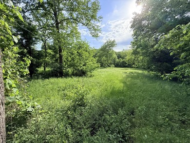 One mile from a boat ramp on Lake of the Ozarks!! This 25 acres - photo 5