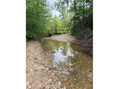 One mile from a boat ramp on Lake of the Ozarks!! This 25 acres - photo 6