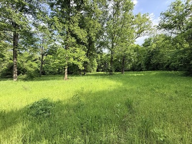 One mile from a boat ramp on Lake of the Ozarks!! This 25 acres - photo 7