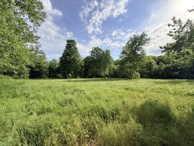 One mile from a boat ramp on Lake of the Ozarks!! This 25 acres - photo 8