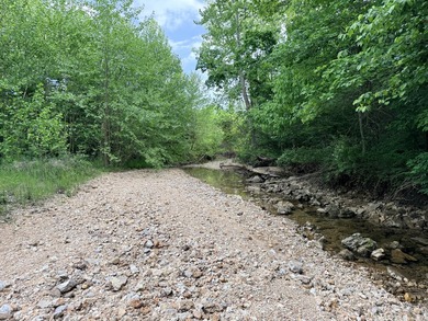 One mile from a boat ramp on Lake of the Ozarks!! This 25 acres - photo 9