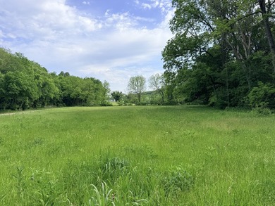 One mile from a boat ramp on Lake of the Ozarks!! This 25 acres - photo 10