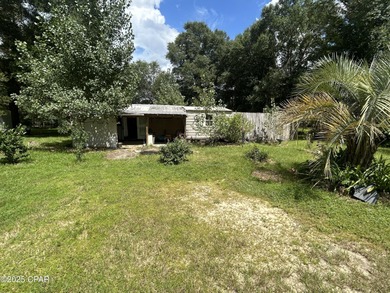 Grassy Lake - Washington County Home For Sale in Chipley Florida