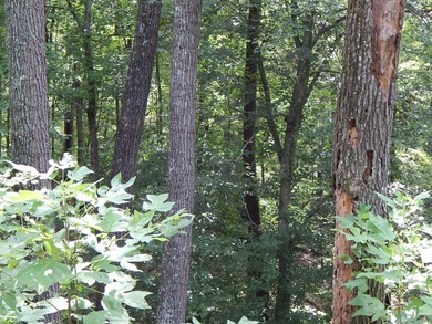Looking for that perfect lot to build your retirement home or - photo 3