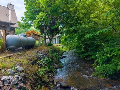 Wouldn't you love a cabin with creek frontage the length of the - photo 14