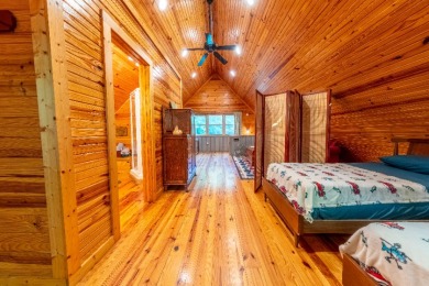 Sleeps 8, Unrestricted, wooded 7.21 acres & a solo private dock - photo 33