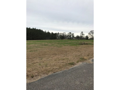 Build your dream home on a dreamy lot in Phase II of the - photo 2