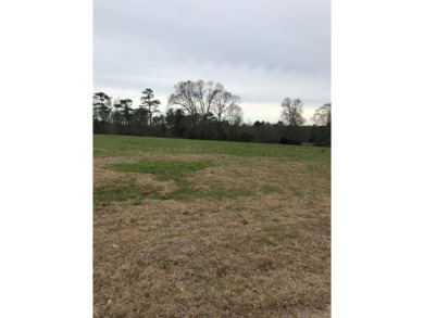 Build your dream home on a dreamy lot in Phase II of the - photo 3
