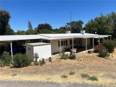 Lake Home For Sale in Kelseyville, California