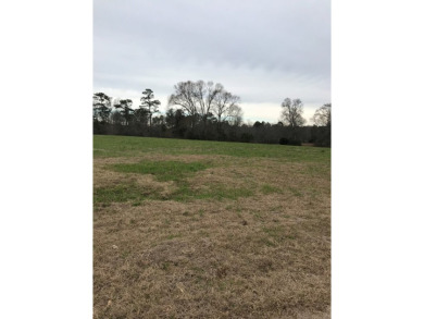 Build your dream home on a dreamy lot in Phase II of the - photo 2